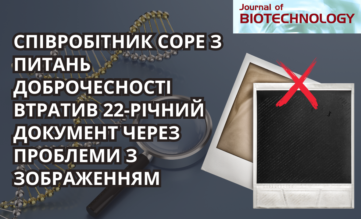 Японські дослідники були здивовані, дізнавшись, що вони є співавторами статей із північнокорейськими вченими